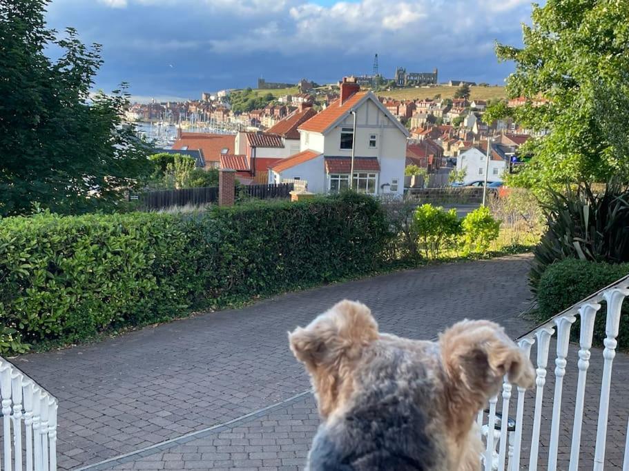 Whitehall, Thomas Turnbull Flat 3 Beautiful Apartment In Georgian House Whitby Ngoại thất bức ảnh