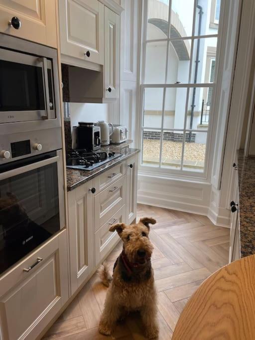 Whitehall, Thomas Turnbull Flat 3 Beautiful Apartment In Georgian House Whitby Ngoại thất bức ảnh